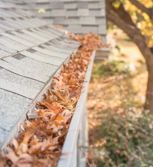 Gutter Service